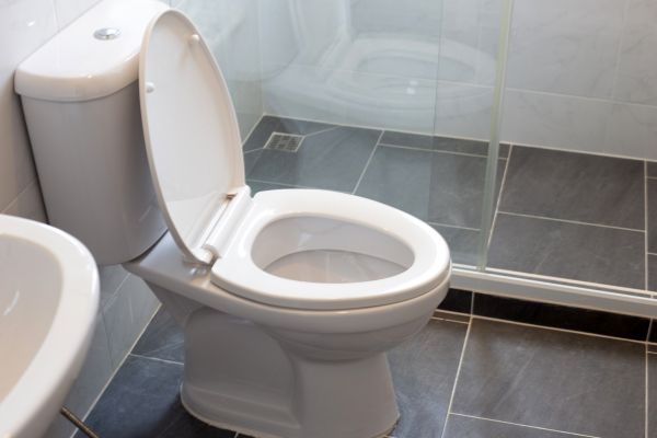 Toilet Replacement in Antioch